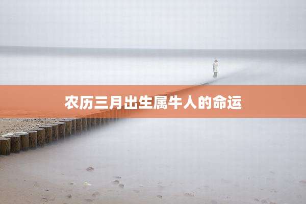 农历三月出生属牛人的命运