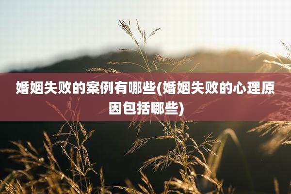 婚姻失败的案例有哪些(婚姻失败的心理原因包括哪些)