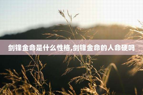 剑锋金命是什么性格,剑锋金命的人命硬吗