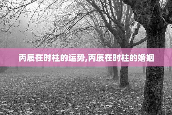 丙辰在时柱的运势,丙辰在时柱的婚姻