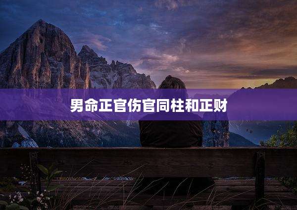 男命正官伤官同柱和正财