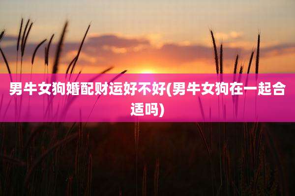 男牛女狗婚配财运好不好(男牛女狗在一起合适吗)