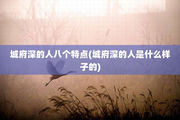 城府深的人八个特点(城府深的人是什么样子的)