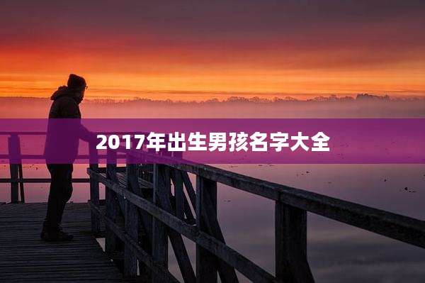 2017年出生男孩名字大全