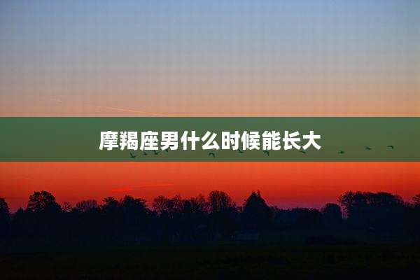 摩羯座男什么时候能长大