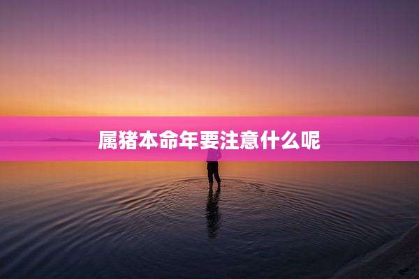 属猪本命年要注意什么呢
