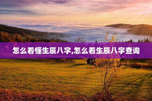 怎么看懂生辰八字,怎么看生辰八字查询