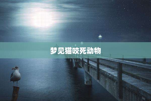 梦见猫咬死动物