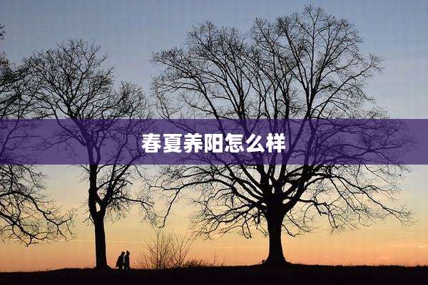 春夏养阳怎么样