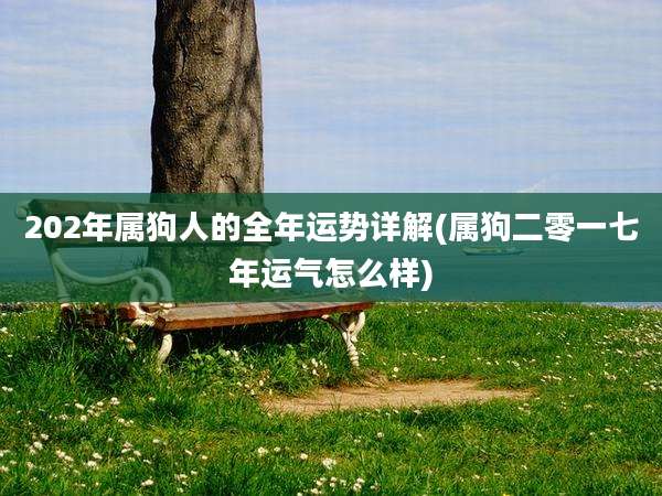 202年属狗人的全年运势详解(属狗二零一七年运气怎么样)