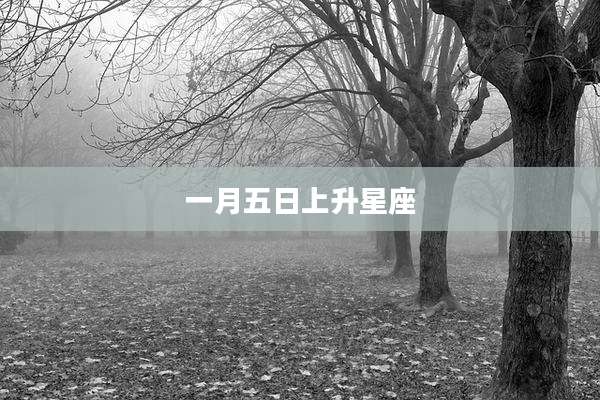 一月五日上升星座
