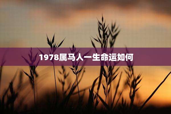 1978属马人一生命运如何