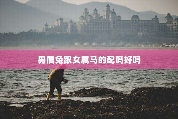男属兔跟女属马的配吗好吗