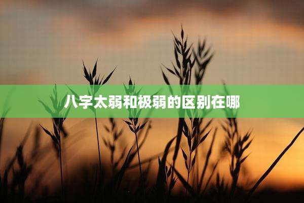 八字太弱和极弱的区别在哪