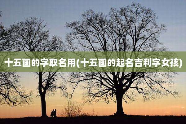 十五画的字取名用(十五画的起名吉利字女孩)