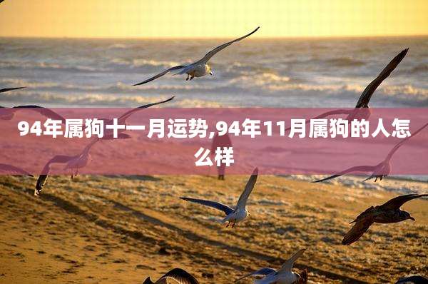 94年属狗十一月运势,94年11月属狗的人怎么样