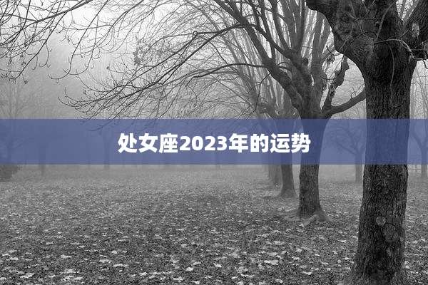 处女座2023年的运势