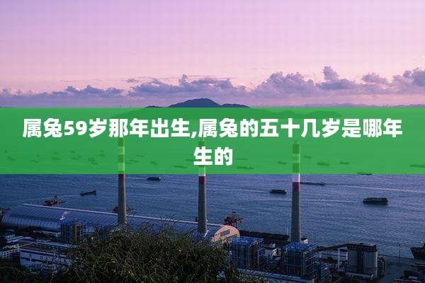属兔59岁那年出生,属兔的五十几岁是哪年生的