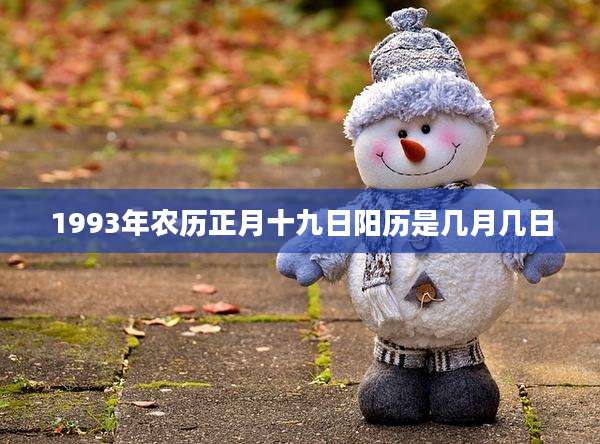 1993年农历正月十九日阳历是几月几日