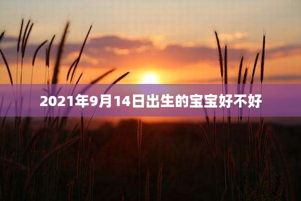 2021年9月14日出生的宝宝好不好