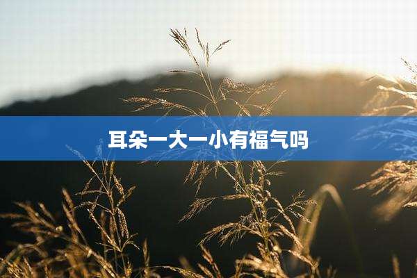 耳朵一大一小有福气吗