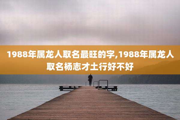 1988年属龙人取名最旺的字,1988年属龙人取名杨志才土行好不好
