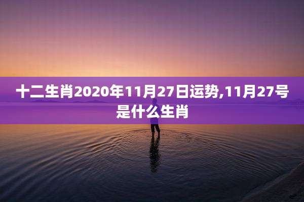 十二生肖2020年11月27日运势,11月27号是什么生肖