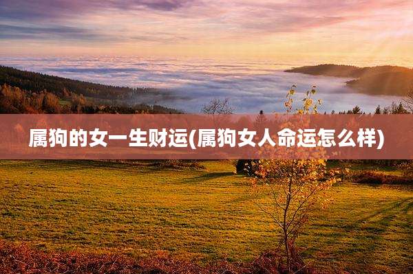 属狗的女一生财运(属狗女人命运怎么样)