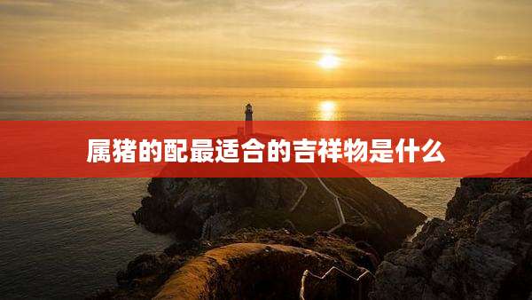 属猪的配最适合的吉祥物是什么