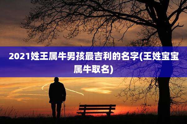 2021姓王属牛男孩最吉利的名字(王姓宝宝属牛取名)