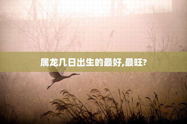 属龙几日出生的最好,最旺?