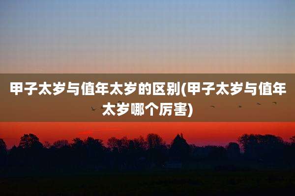 甲子太岁与值年太岁的区别(甲子太岁与值年太岁哪个厉害)