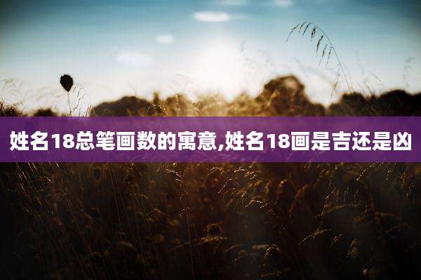 姓名18总笔画数的寓意,姓名18画是吉还是凶