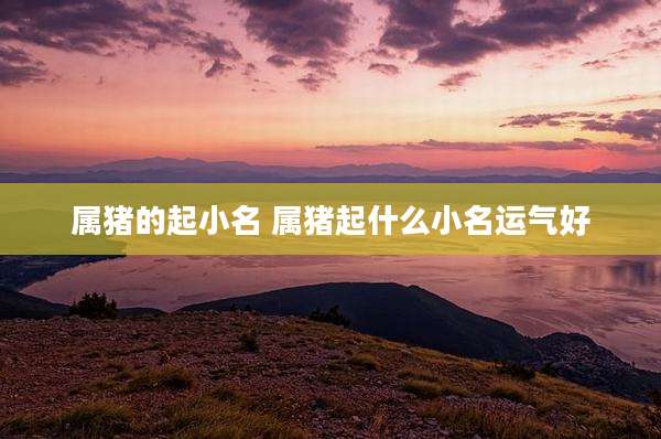 属猪的起小名 属猪起什么小名运气好