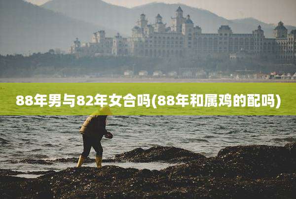88年男与82年女合吗(88年和属鸡的配吗)