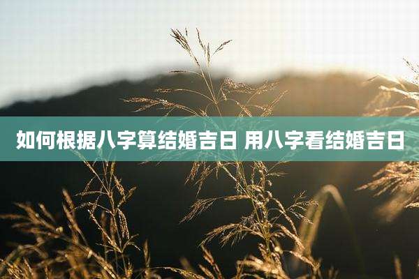 如何根据八字算结婚吉日 用八字看结婚吉日