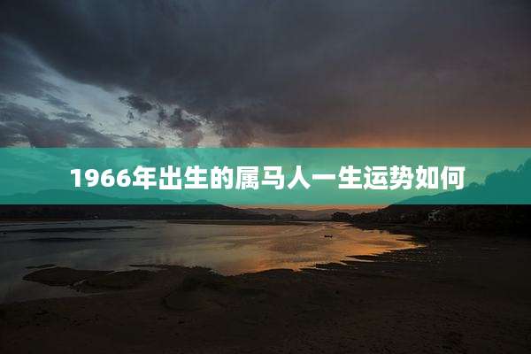 1966年出生的属马人一生运势如何