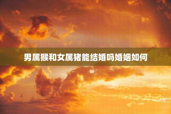 男属猴和女属猪能结婚吗婚姻如何