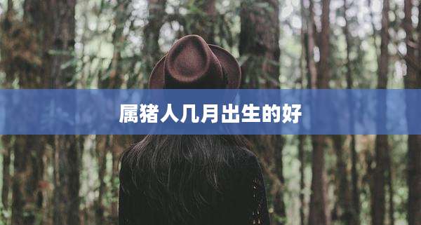 属猪人几月出生的好