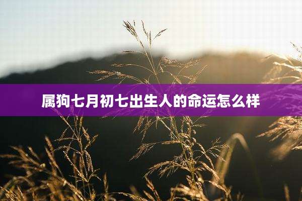 属狗七月初七出生人的命运怎么样