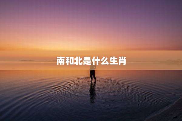 南和北是什么生肖