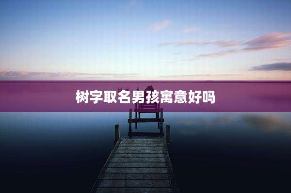 树字取名男孩寓意好吗