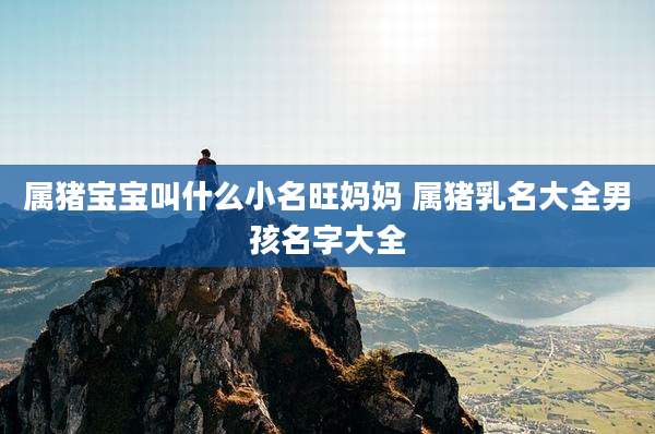 属猪宝宝叫什么小名旺妈妈 属猪乳名大全男孩名字大全