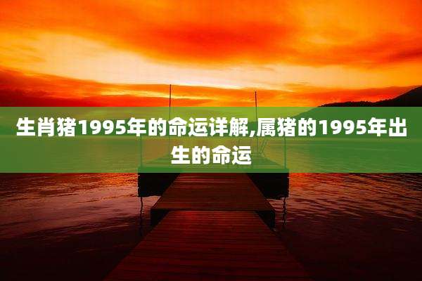 生肖猪1995年的命运详解,属猪的1995年出生的命运