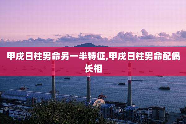 甲戌日柱男命另一半特征,甲戌日柱男命配偶长相