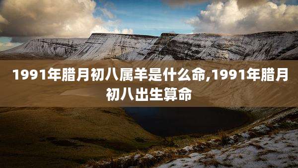 1991年腊月初八属羊是什么命,1991年腊月初八出生算命