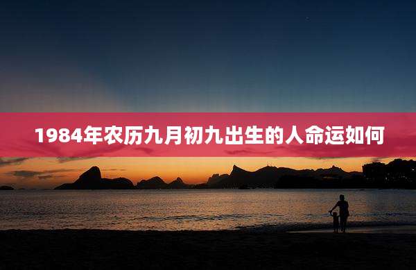 1984年农历九月初九出生的人命运如何