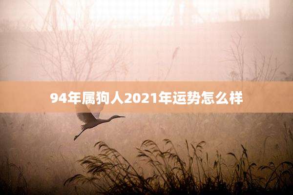 94年属狗人2021年运势怎么样