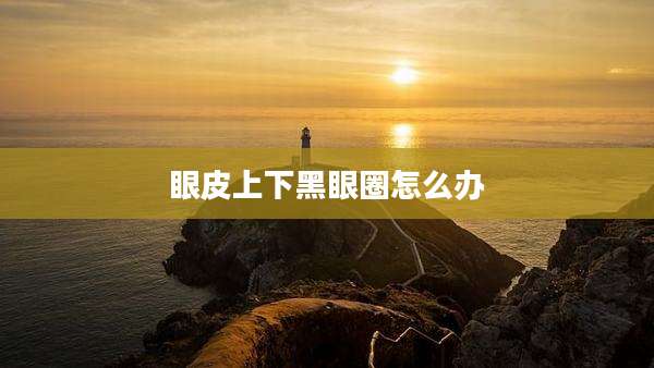 眼皮上下黑眼圈怎么办