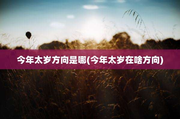 今年太岁方向是哪(今年太岁在啥方向)